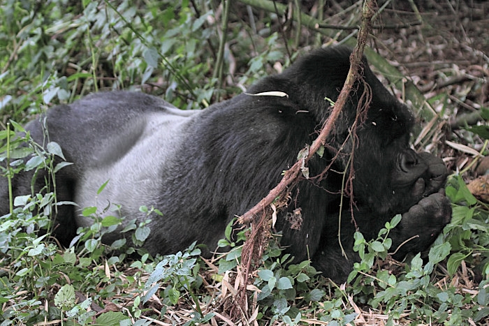 KwitondaGroup_06315_F.jpg