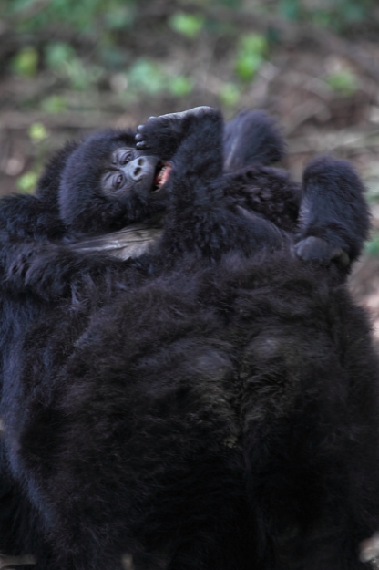 KwitondaGroup_6220_Fv.jpg