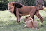 600_Johannesburg_4110
