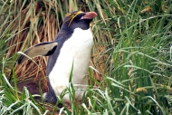 CooperBay_DSC06859