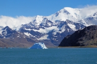 Grytviken_DSC06631