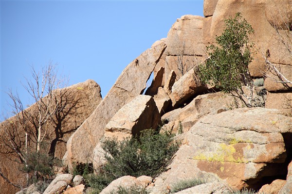 Mongolia_MiddleGobi_2332_m_600.jpg