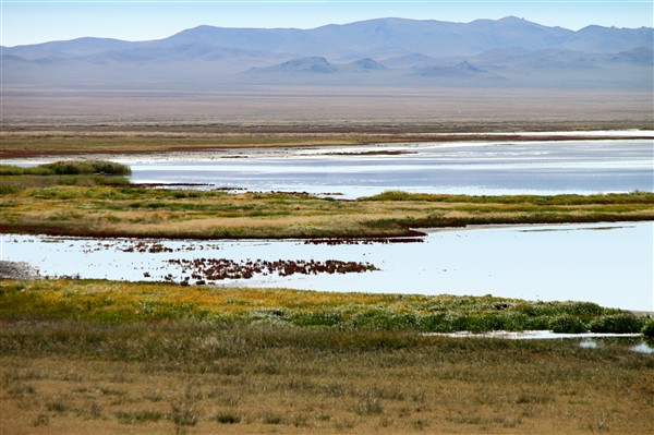 Mongolia_MiddleGobi_ForeignLk_2284_m_600.jpg