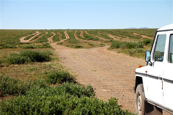 Mongolia_MiddleGobi_Roads_2207_m_600.jpg