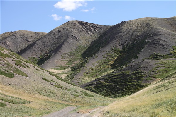 Mongolia_S_Gobi_3BeautiesMts_2663_m_600.jpg