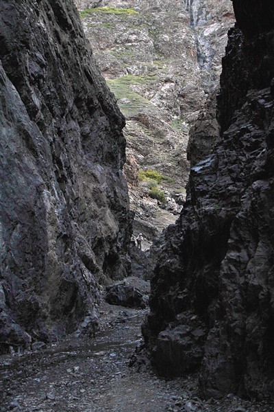 Mongolia_S_Gobi_LamValley_2687_m_600.jpg