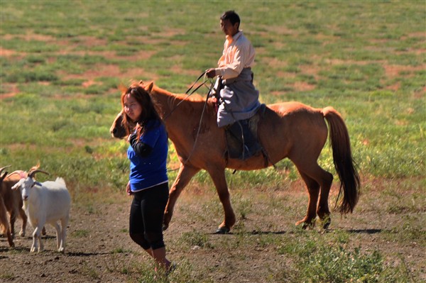 DSC01839_edited_600.jpg