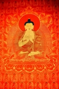 DSC01242_edited_600