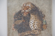 Delos_Mosaic_DSC04006