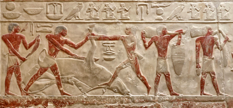 Saqqara, Egypt