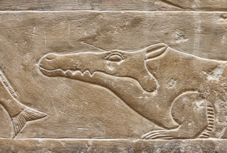 Saqqara, Egypt
